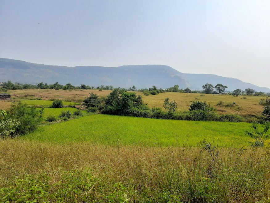 नैसर्गिक शेती,जीवनज्योती कृषी उद्योग,शेती