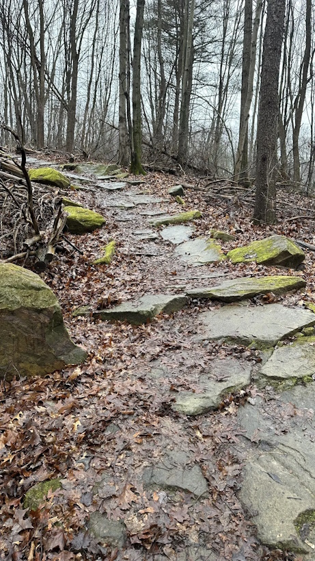 Bard generated image of a wet trail, descending