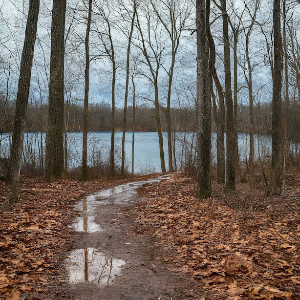 Bard Generated Image - Trail with lake visible