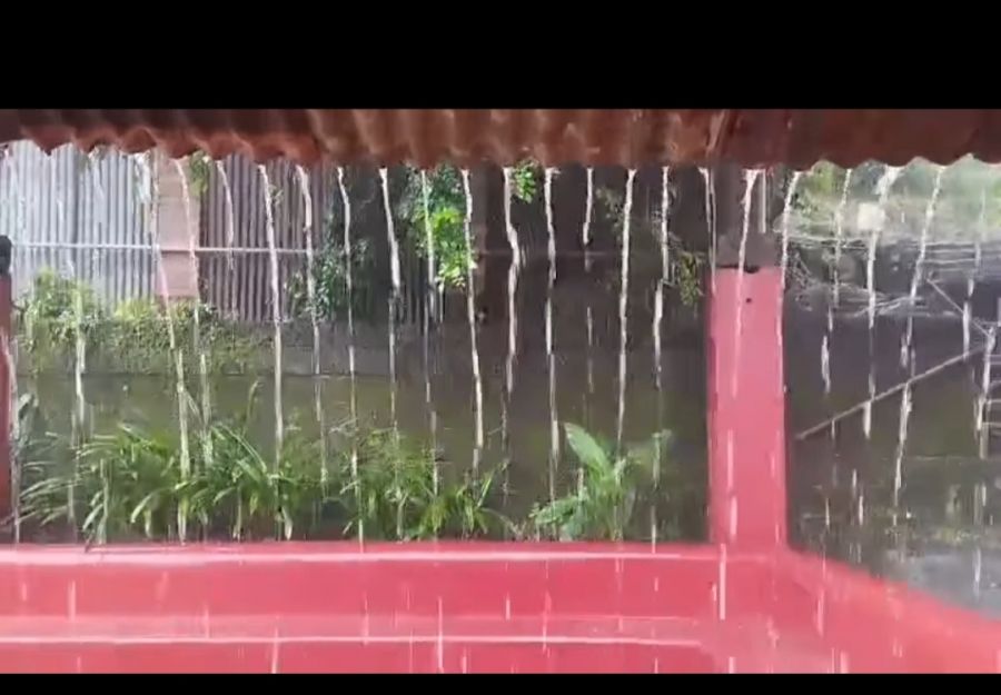 पागोळी पाऊस