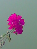 Image000.jpg
