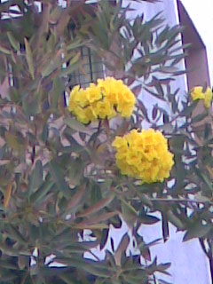 Image002.jpg