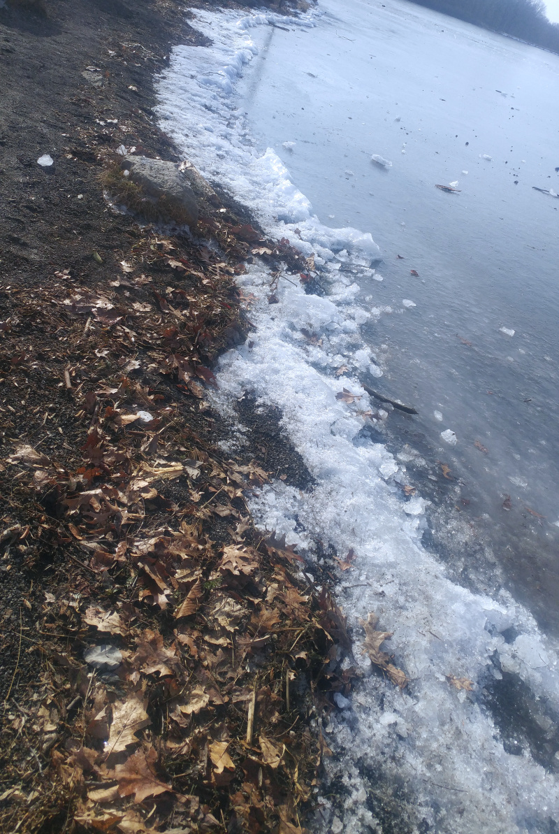 IMG_20220907_221104.jpg