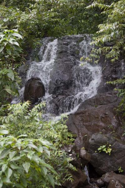 swayambhu.jpg