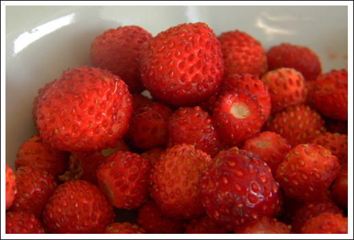 strawberry_0.jpg