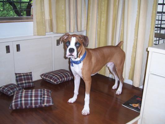 Home_004.jpg