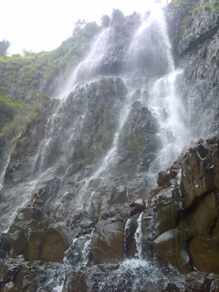 Image143-1.jpg