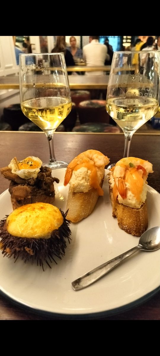 Sea Urchin.jpg