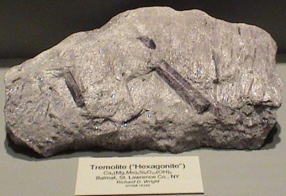 DSC00145 - Copy.JPG