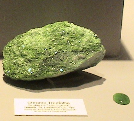 DSC00161 - Copy.JPG