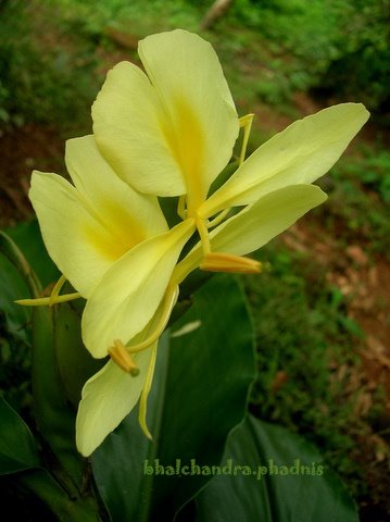 DSCN7486.JPG