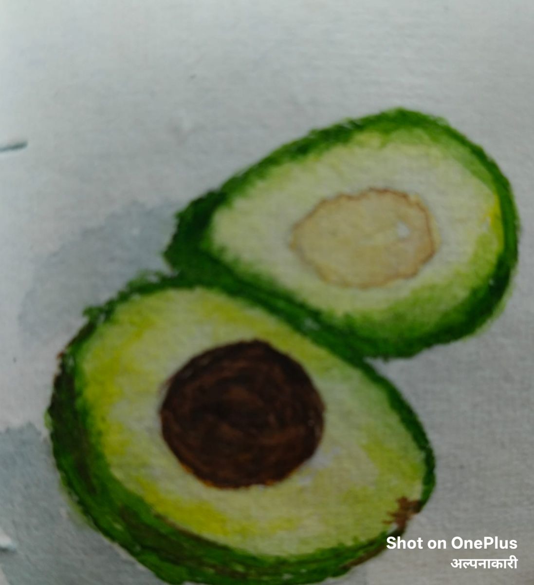 avacado.jpg