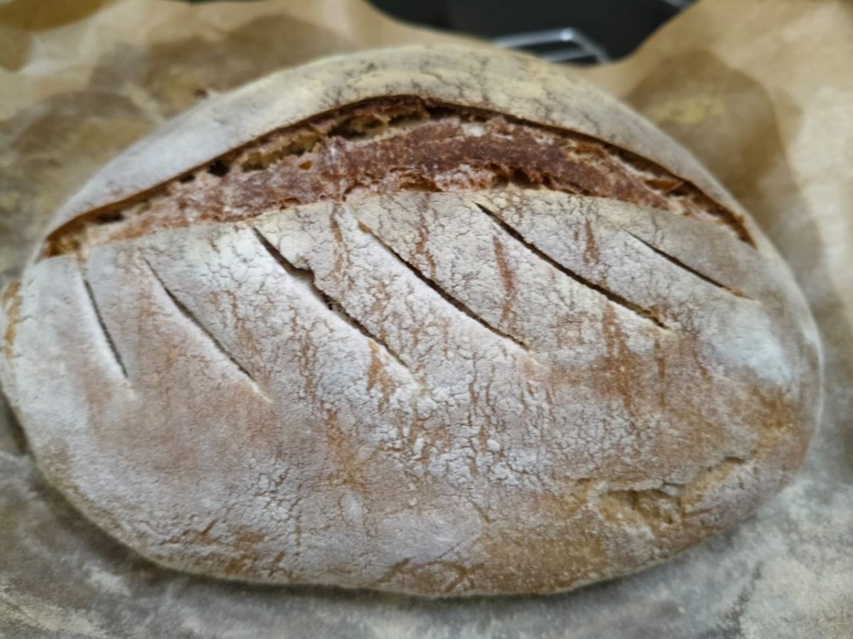 country loaf+ 10% khapali wheat, 60% hydration.jpg