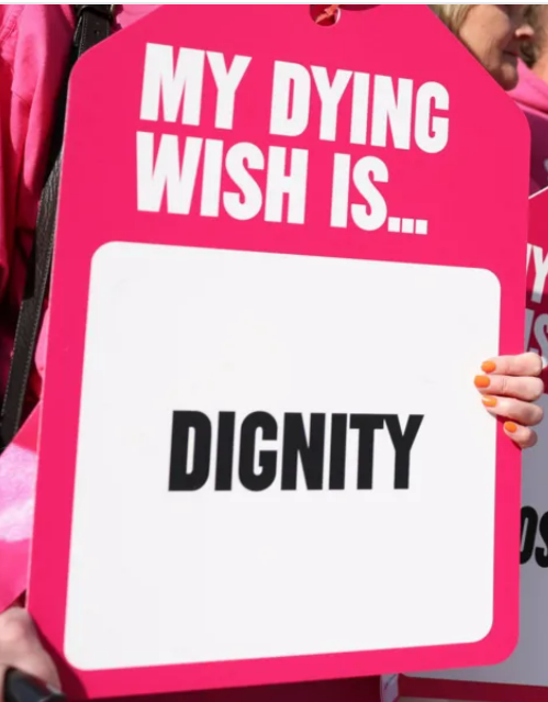 Screenshot (31).png