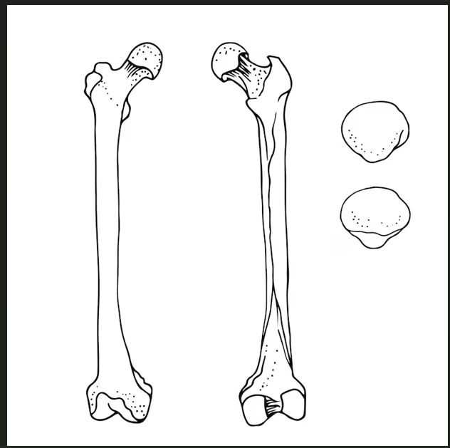 Screenshot (55).png