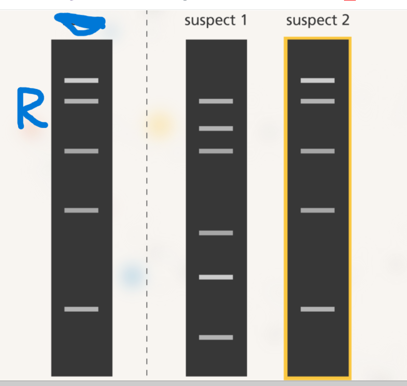 Screenshot (59).png