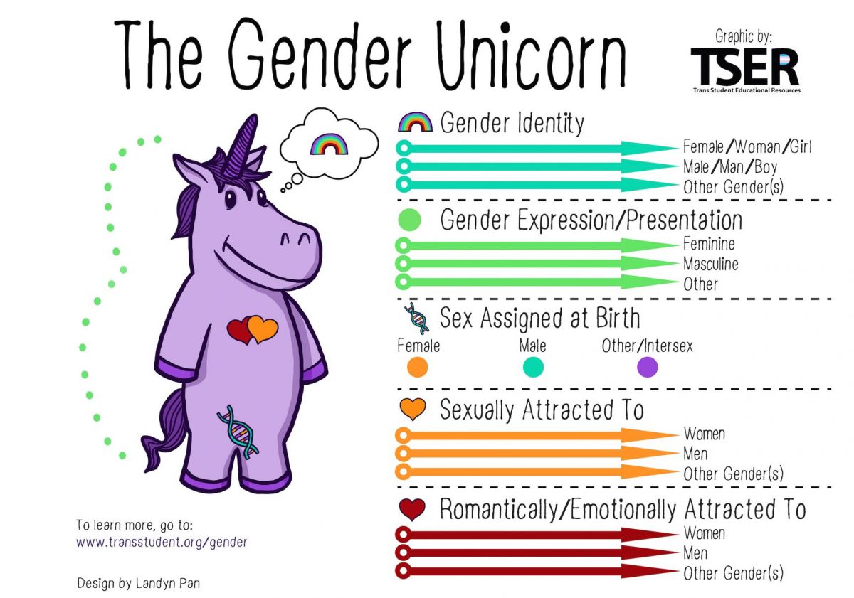 genderunicorn1.0.jpg