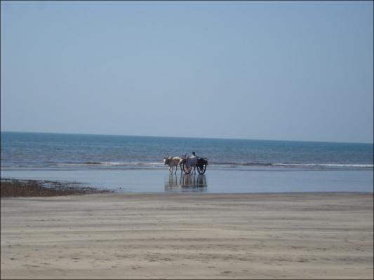 Dapoli_Ladghar_beach.jpg