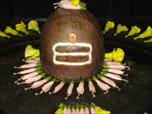 shiv_2.jpg