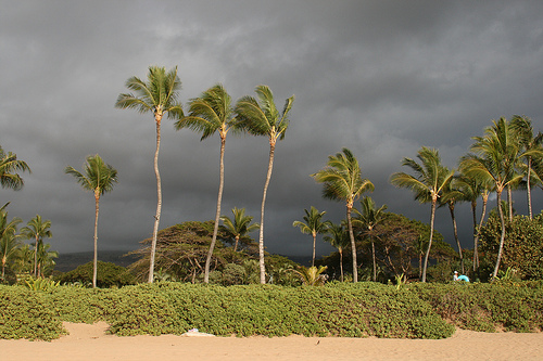 8. Maui - beach.jpg