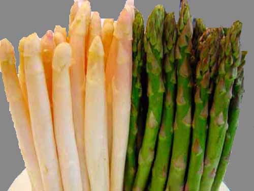asparagus-vegetable.jpg