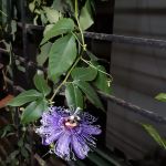 IMG-20190704-WA0095_1_0.jpg