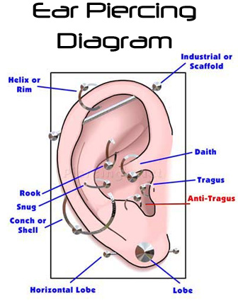 ear_piercing_diagram.jpg