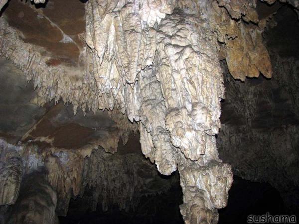 IMG_1471.JPG