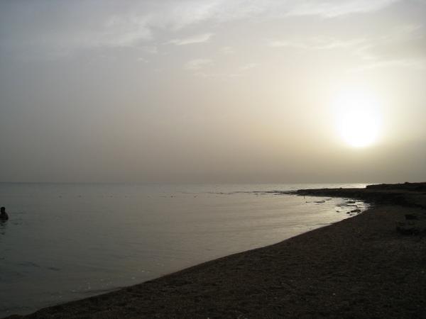 IMG_0947.JPG