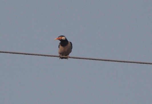 cP2275929.JPG