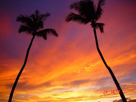 Maui Evening.JPG