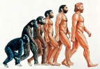 Human-Evolution.jpg