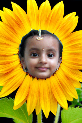 Sharvari_sunflower.jpg