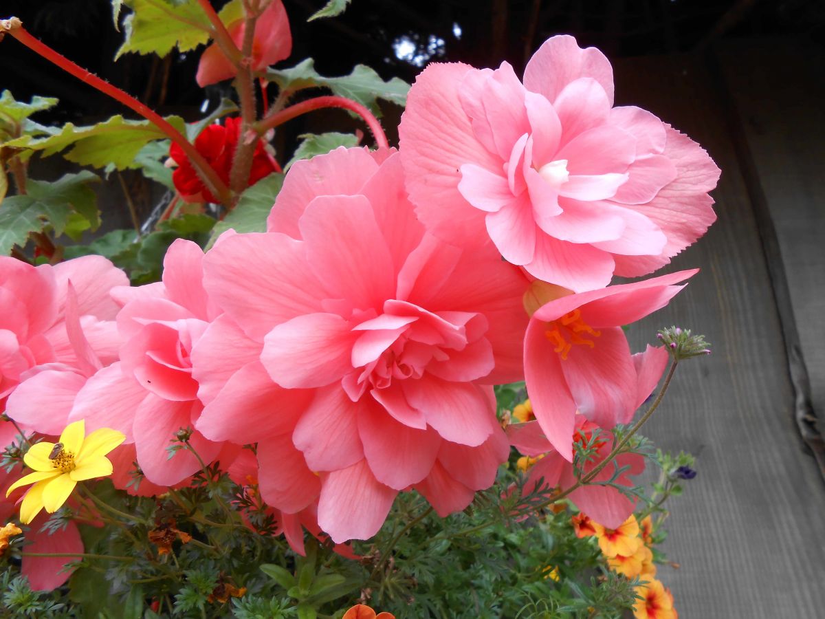 DSCN3824.JPG