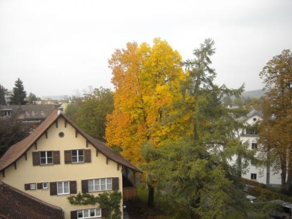 kloten2.JPG