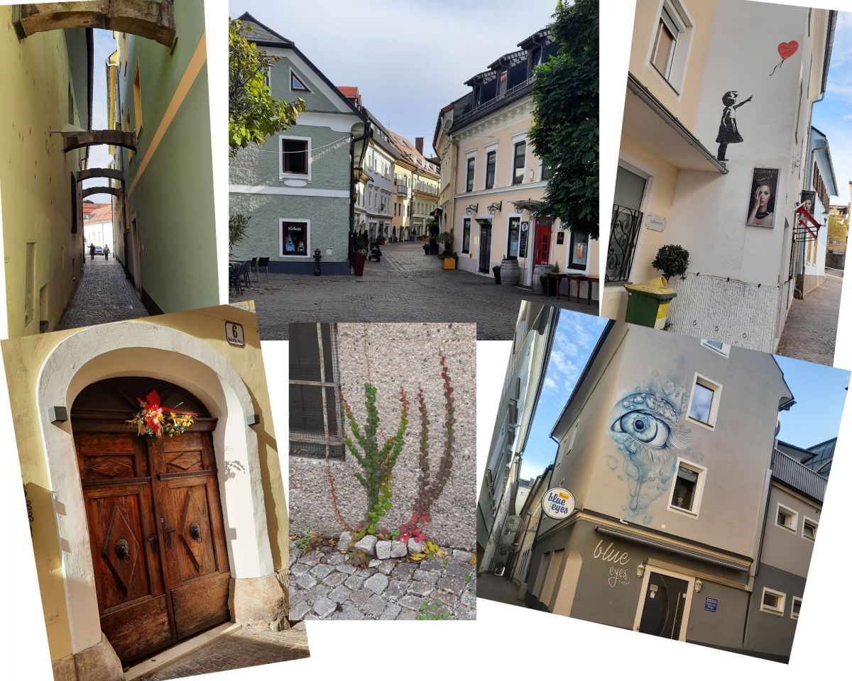 galli bol collage.jpg