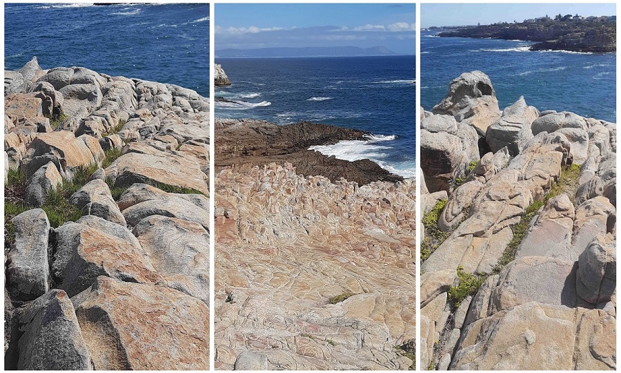 hermanus collage 6_0.jpg