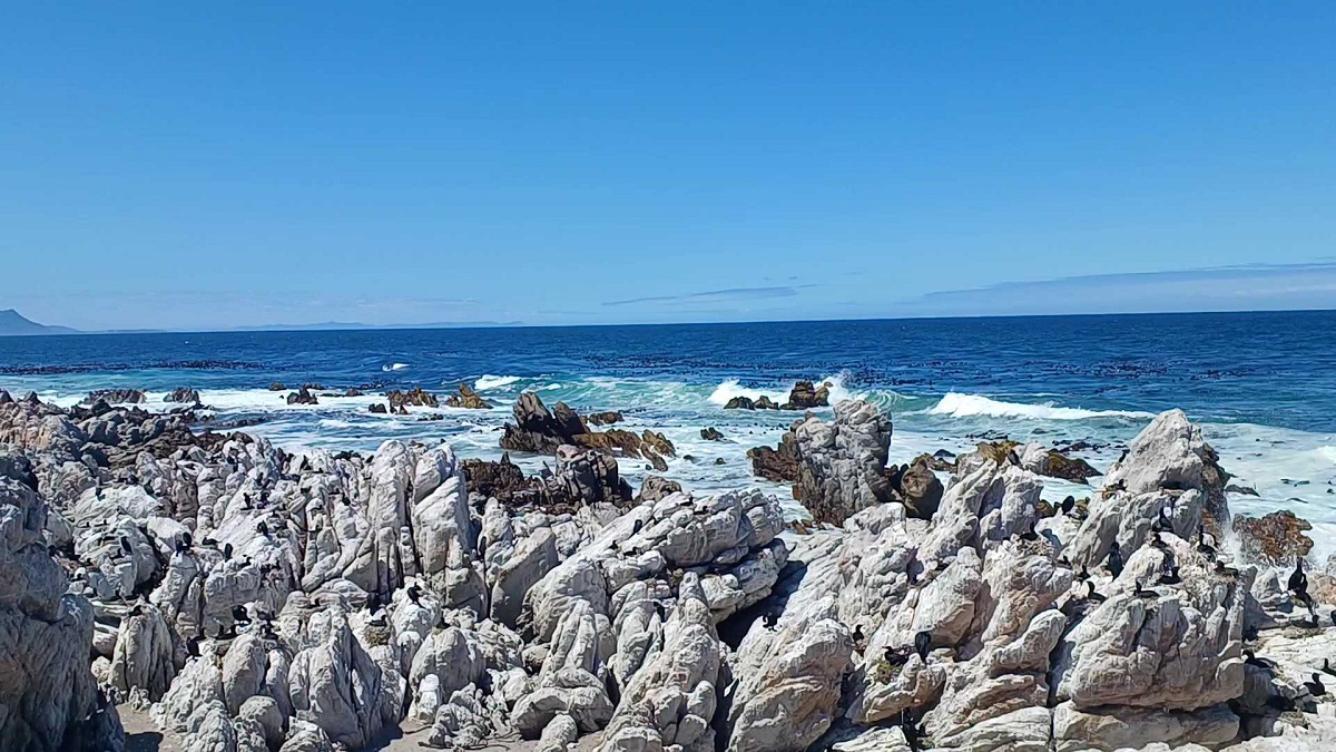 hermanus photo 3.jpg