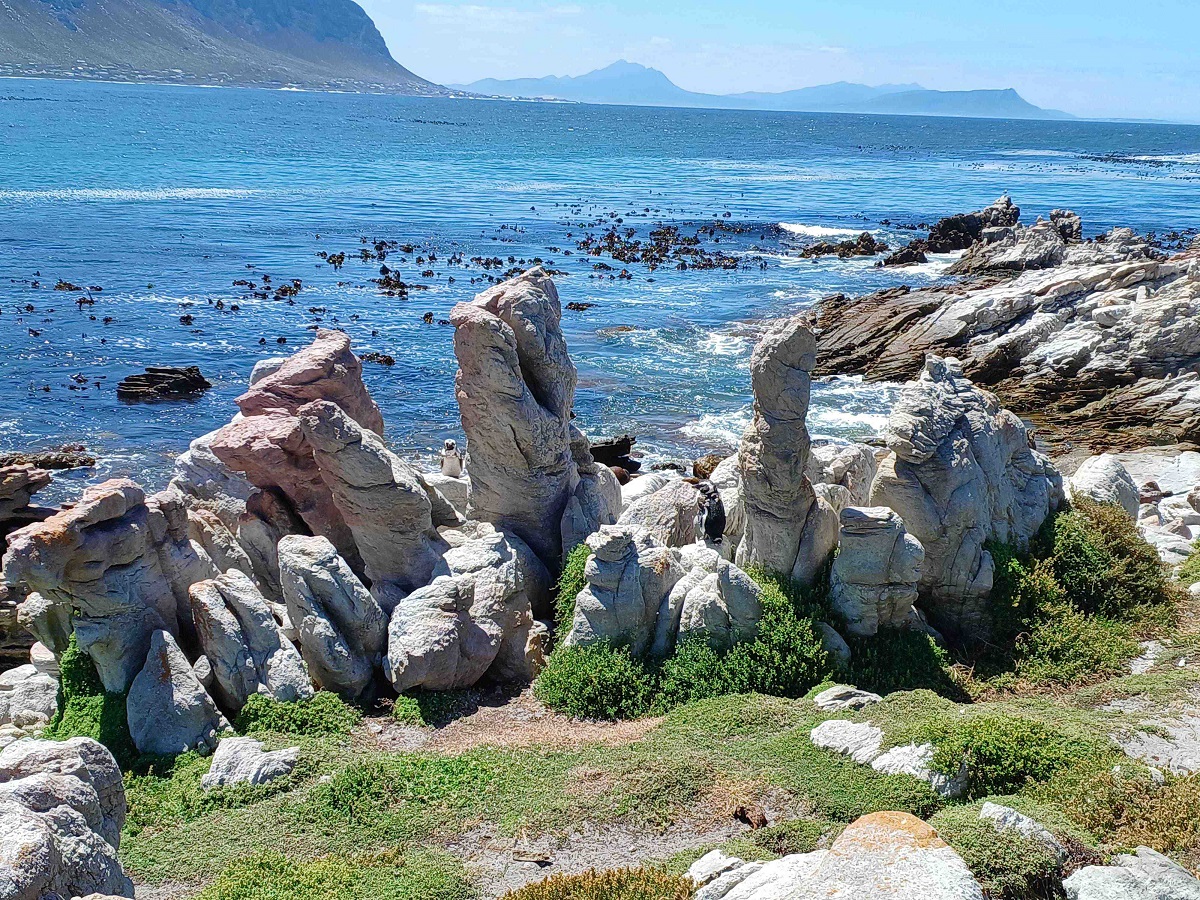 hermanus photo 5.jpg