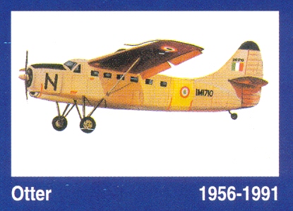 otter1956-1991.jpg