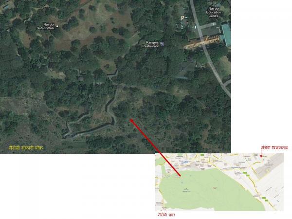 nairobi safari walk.jpg