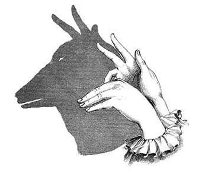 finger-shadow-illusions-16.jpg