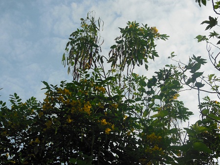 DSCN0119.JPG