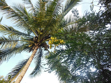 DSCN0125.JPG