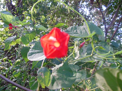 DSCN0126.JPG