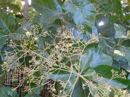 DSCN0128.JPG