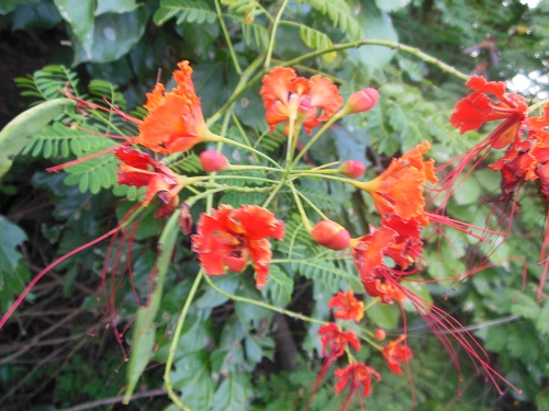 DSCN0134.JPG
