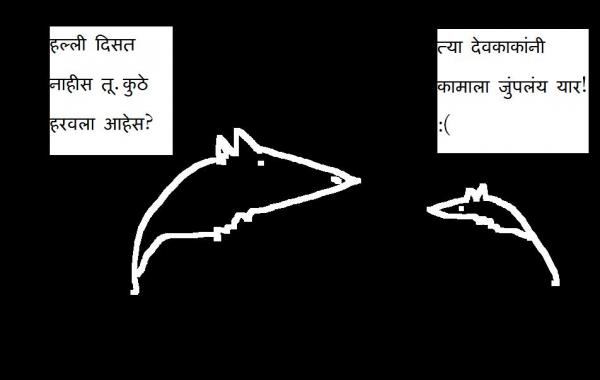 chitra55.JPG