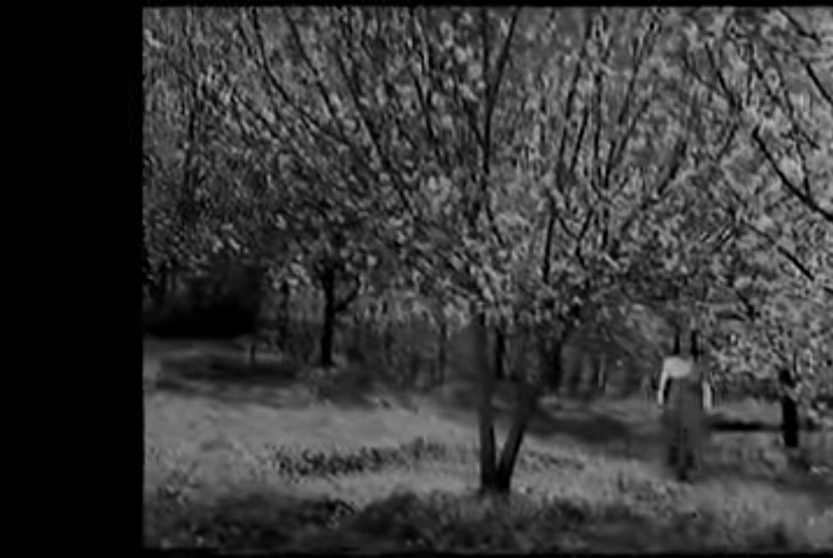 Screenshot_20210129-223803~2.png