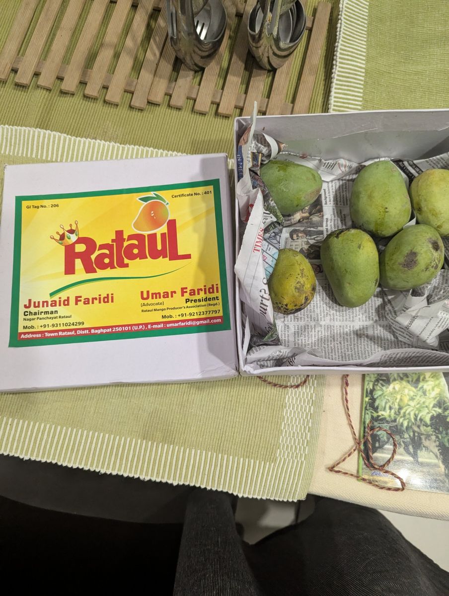rataul mango.jpeg
